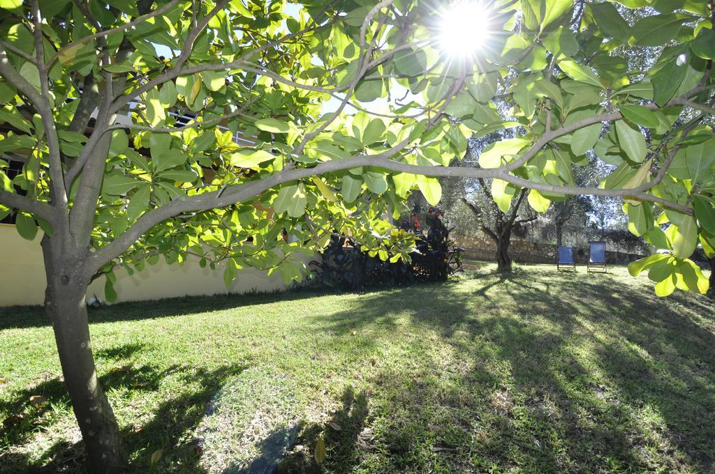 Magdalini Apartments Afión エクステリア 写真